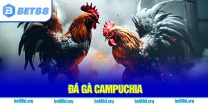 Đá gà Campuchia
