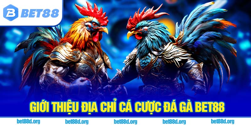 Giới thiệu địa chỉ cá cược đá gà BET88