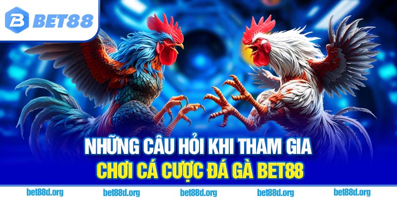Những câu hỏi khi tham gia chơi cá cược đá gà BET88