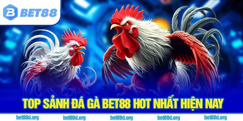 Top sảnh đá gà BET88 hot nhất hiện nay